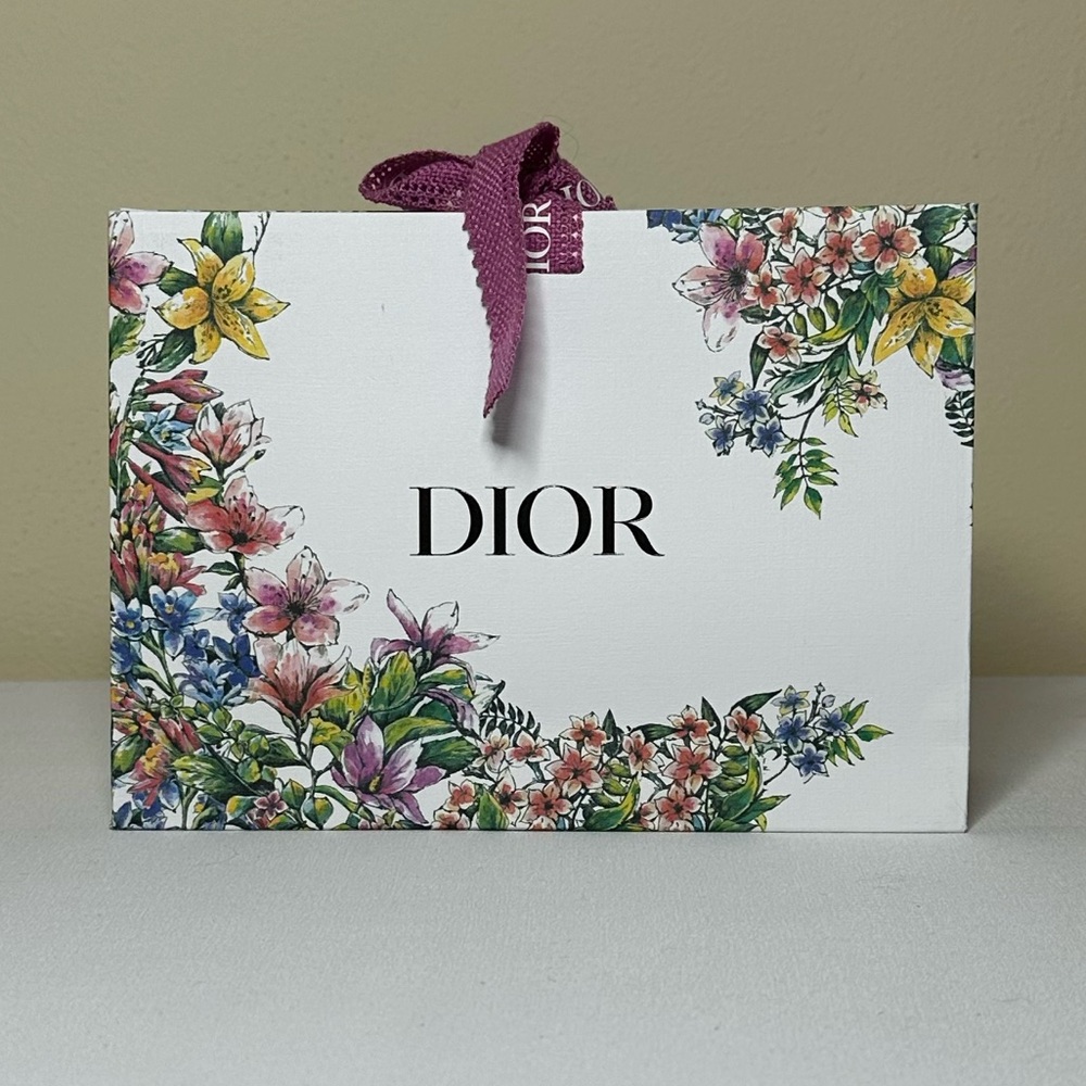Dior Holiday Gift bag